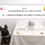 Jandarmadan Biga ve Ezine’de Narkotik Baskında 13 gözaltı, 4 Tutuklama
