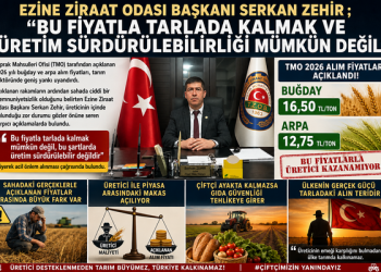 Ezine Ziraat Odası Başkan Zehir’den TMO’ya Sert Tepki: “Bu Fiyatla Tarlada Kalmak ve Üretim Sürdürülebilirliği Mümkün Değil!”